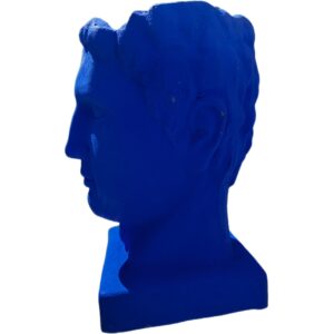 Out of the Blue: Guardian Bust